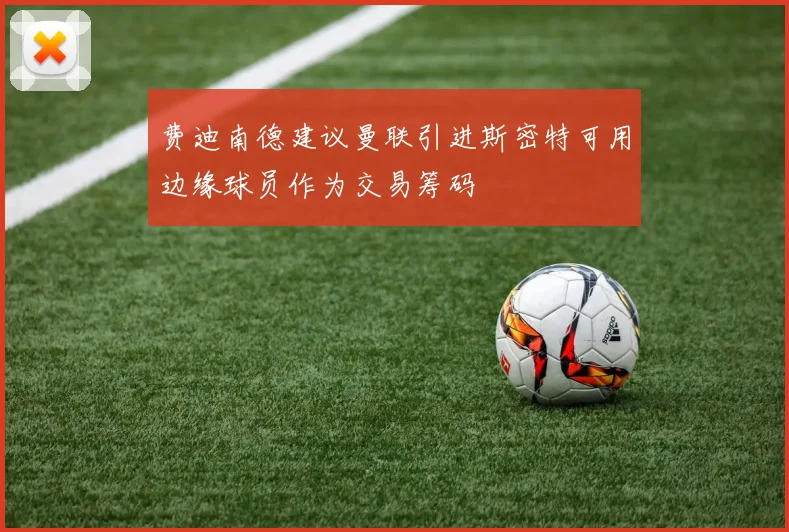 费迪南德建议曼联引进斯密特可用边缘球员作为交易筹码