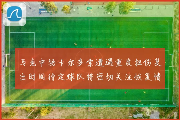 马竞中场卡尔多索遭遇重度扭伤复出时间待定球队将密切关注恢复情况