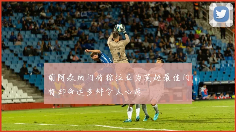 前阿森纳门将称拉亚为英超最佳门将却命运多舛令人心疼